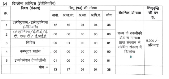 CG Bijli Vibhag vacancy 2024