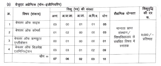 CG Bijli Vibhag vacancy 2024 